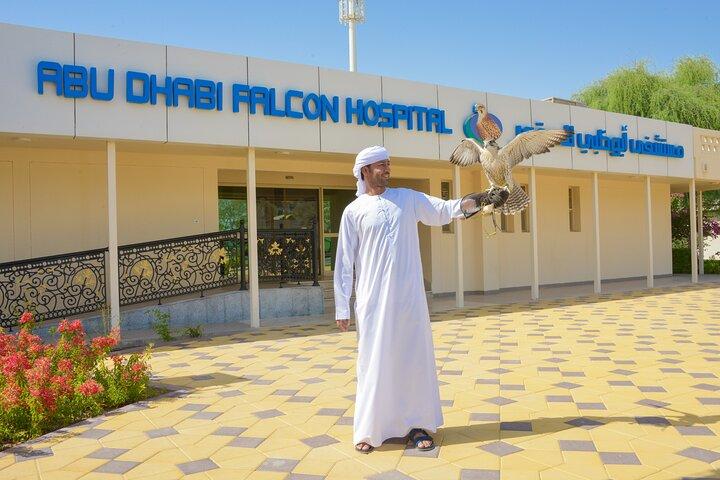 Guided Falcon Hospital Tour Abu Dhabi