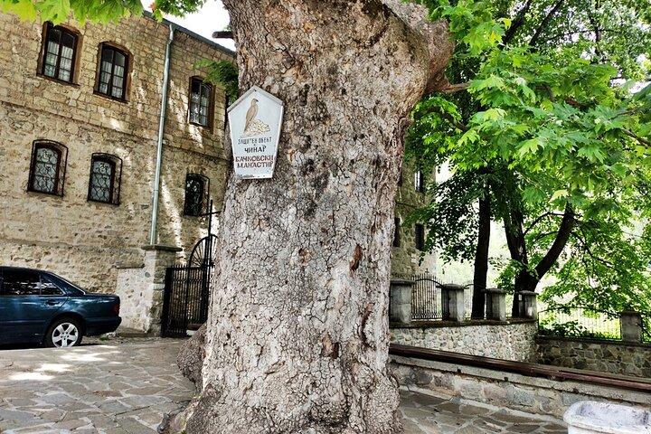 Bachkovo by og kloster selvguidet