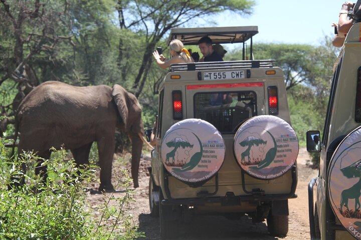 6-daagse Big Five Magic Safari Tour