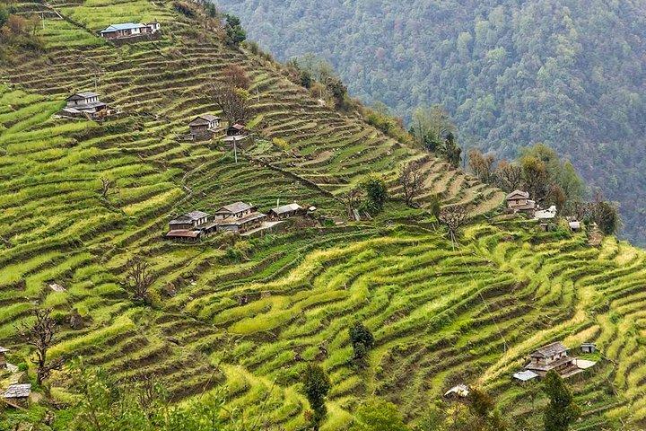 Poon Hill Trekking- Una giornata per esplorare il Nepal in breve tempo