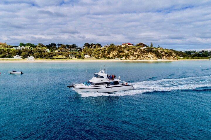 Mornington Peninsula Scenic 1.5 hour boat cruise.