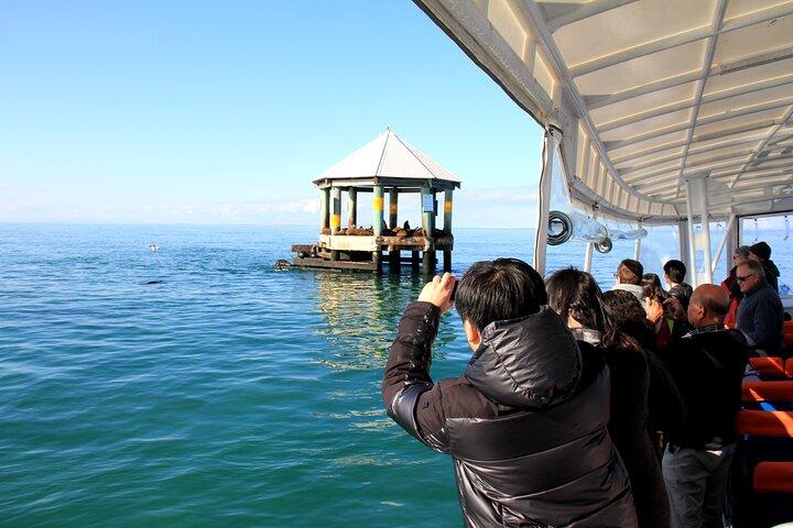 Mornington Peninsula Scenic 1.5 hour boat cruise.