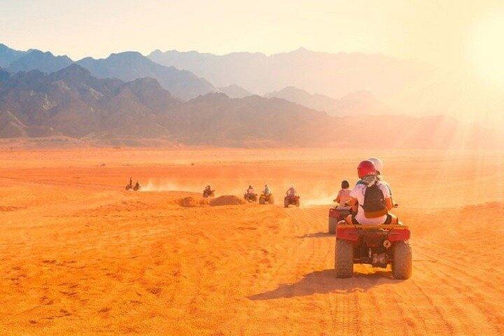 Safari i Luxor
