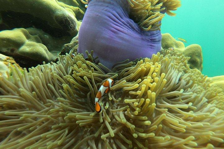 ランタ島からスピードボートでRokとHaa島へのシュノーケリングツアー
