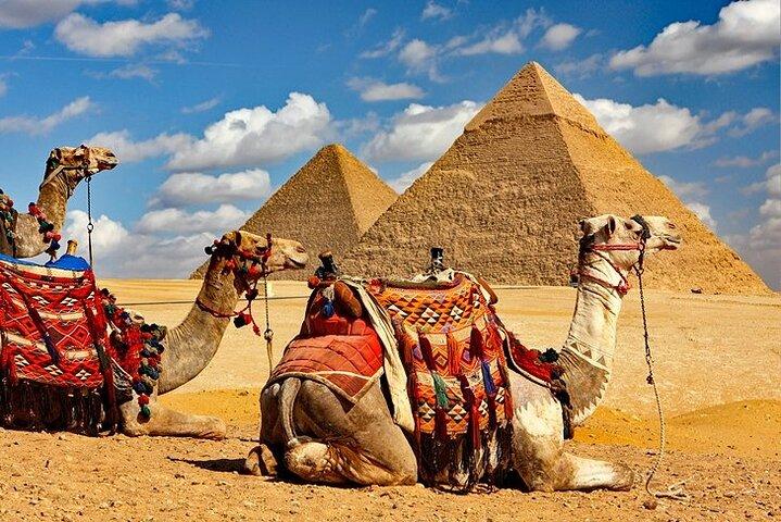 Excursion d'une journée au Caire: Pyramides de Gizeh Sphinx Memphis et Saqqara