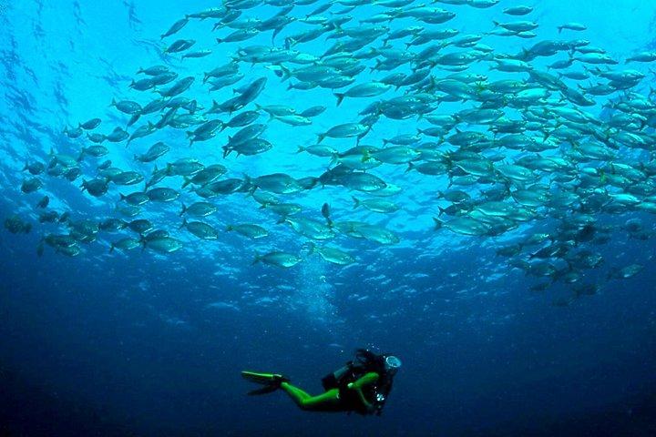 ランサローテ島、コスタ テギセでのスキューバ ダイビングの洗礼