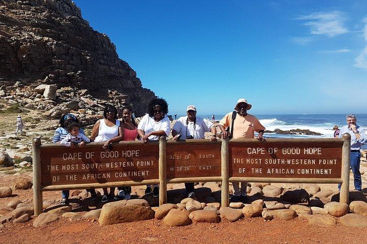 プライベートケープオブグッドホープとペンギン終日（観光ガイド付き）
