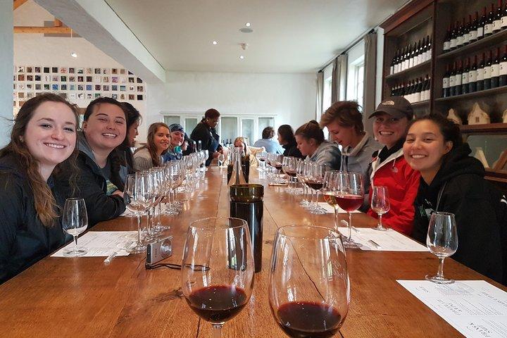 Día completo Cape Winelands (Stellenbosch y Franschoek)