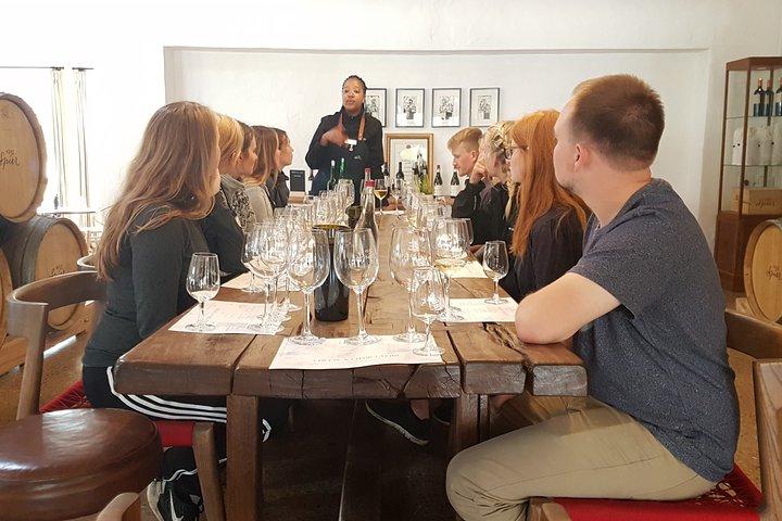 Día completo Cape Winelands (Stellenbosch y Franschoek)
