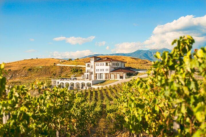 Wine Tasting & More in Villa Melnik - Een van 's werelds beste wijnhuizen