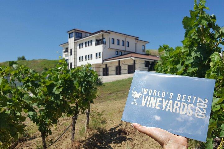 Wine Tasting & More in Villa Melnik - Een van 's werelds beste wijnhuizen