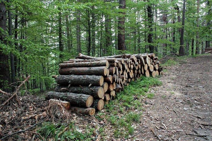 Aidez les hôtes: Fabrication de pain, fabrication de yaourts et élevage de bétail