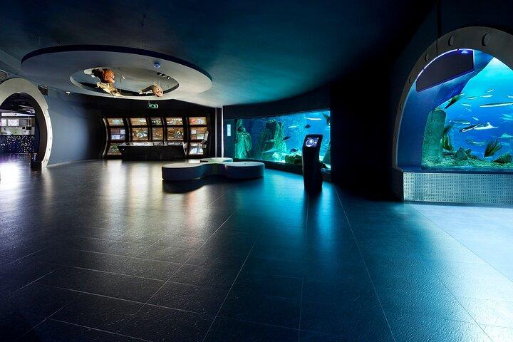 Istanbul Aquarium and Aqua Florya Independent Shopping Trip