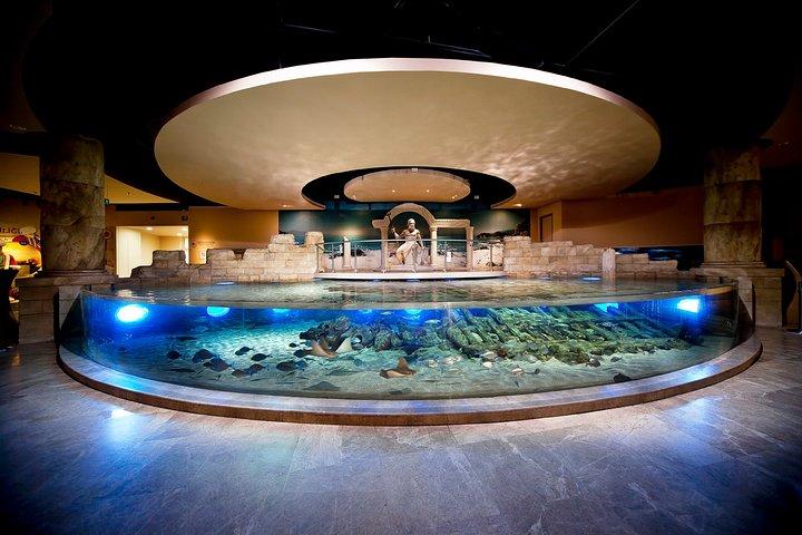 Istanbul Aquarium and Aqua Florya Independent Shopping Trip