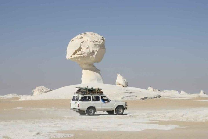 Overnight Camping & Safari at the White Desert With Dune Bashing & Off Roads