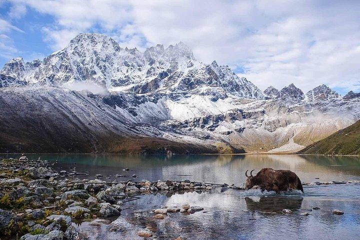 Everest High Pass Trekking