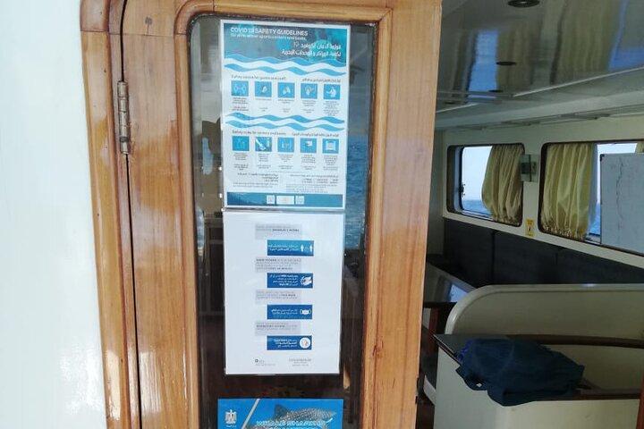 オレンジ ベイ ギフトン島ハルガダ シュノーケリング旅行
