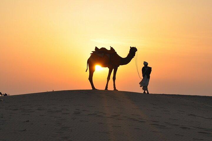 Private Wüstensafari Dubai mit BBQ Dinner und Bauchtanz