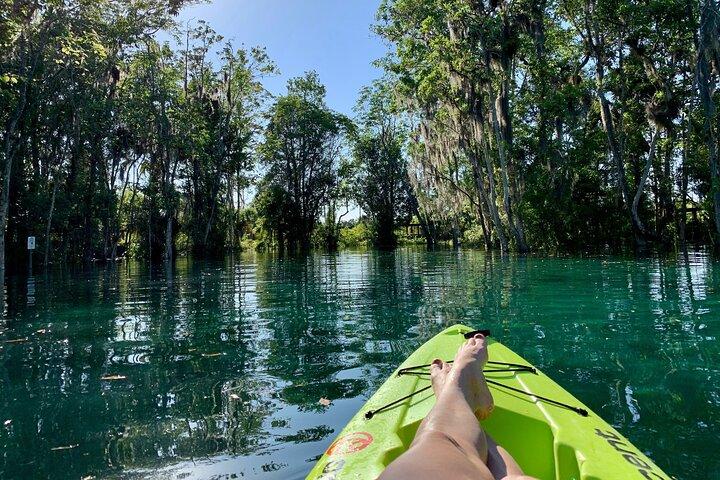 Location de kayak simple de 4 heures à Crystal River, Floride