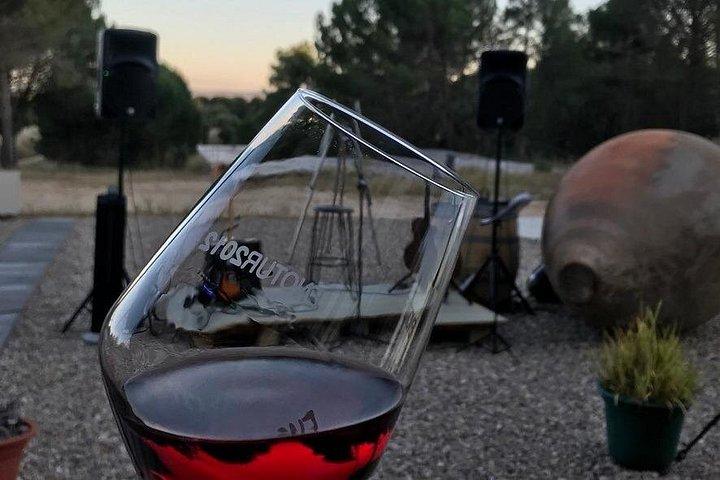 Visit and Wine Tasting at the Territorio Luthier Winery