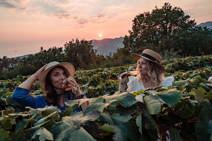 Sunset wine tasting in vineyard