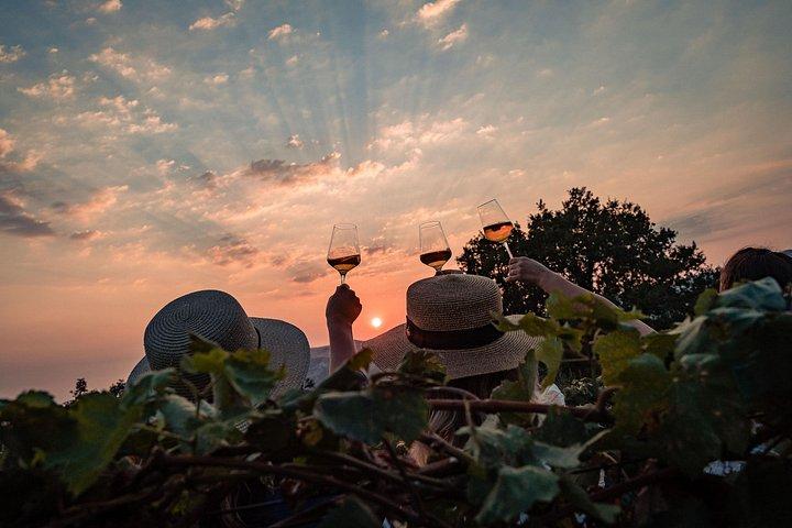 Sunset wine tasting in vineyard