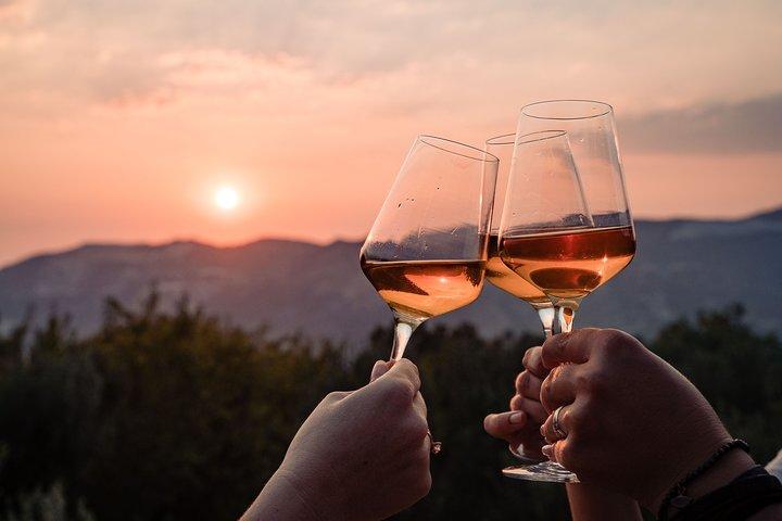 Sunset vinprovning i vingården