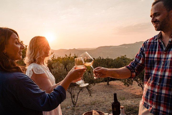 Sunset wine tasting in vineyard