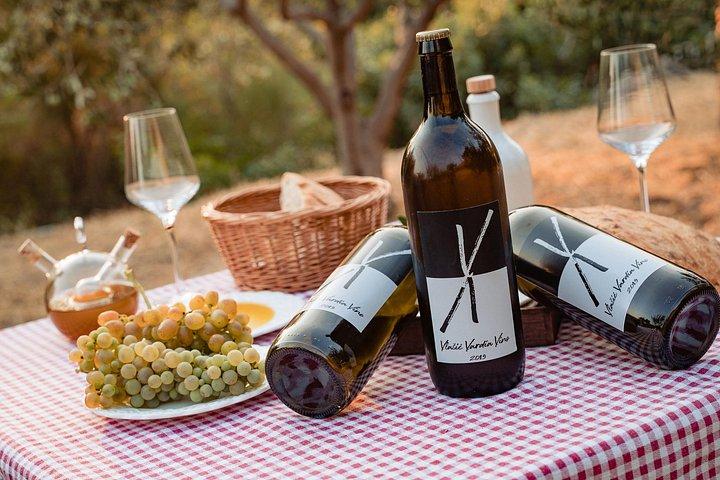 Sunset wine tasting in vineyard