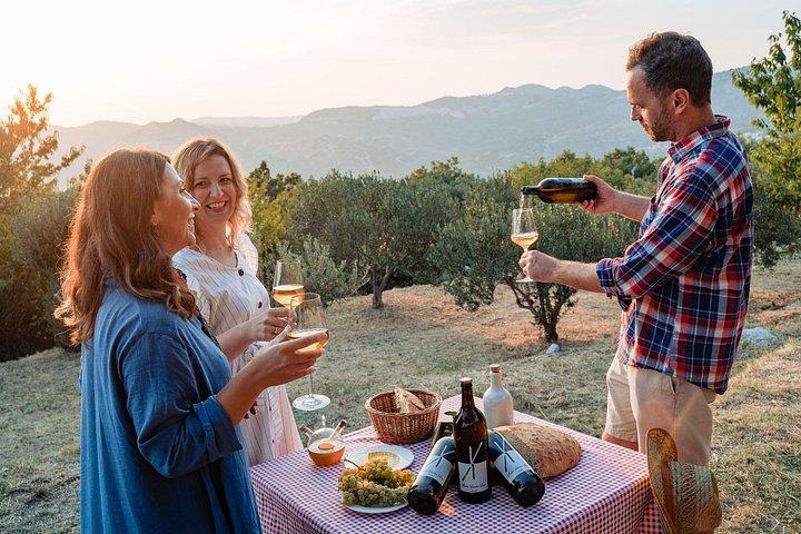 Sunset wine tasting in vineyard