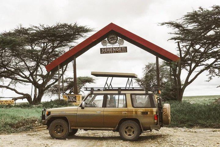 Heldagssafaritur Lake Manyara eller Tarangire National Park
