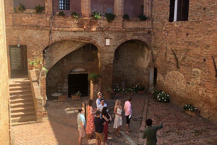 Uma aula de culinária Brunello com vinícola com vista para os vinhedos