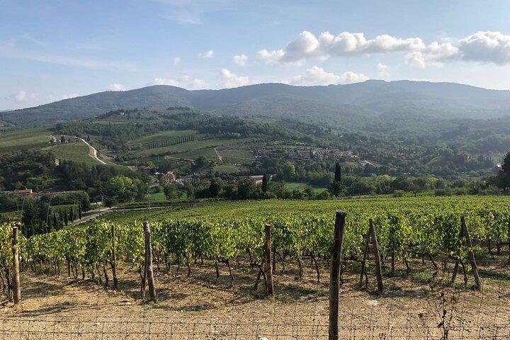 Private Chianti Wine Tasting from Florence, Half Day Experience