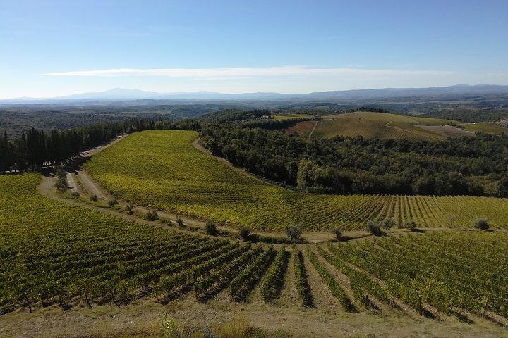 Small-Group Chianti Trip with Wine Tasting from Siena