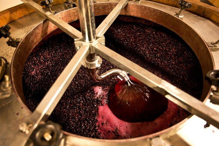 Small-Group Chianti Trip with Wine Tasting from Siena