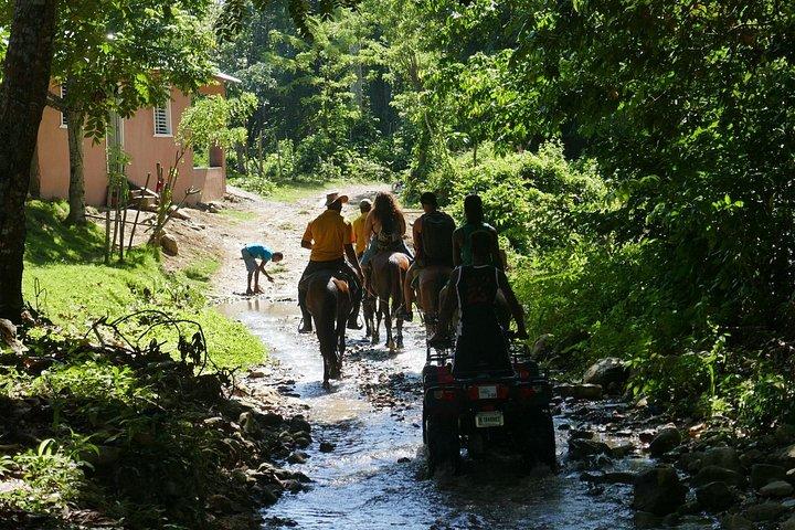 mountain horse back riding