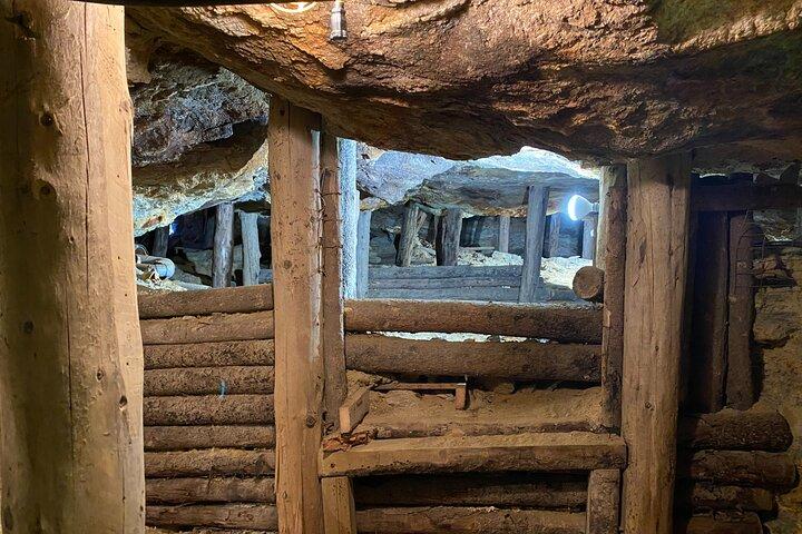 Colorado Gold Rush Mountain and Mine Halve dagtour vanuit Denver