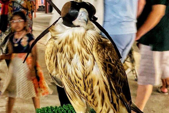 Private Half Day Dubai City Tour