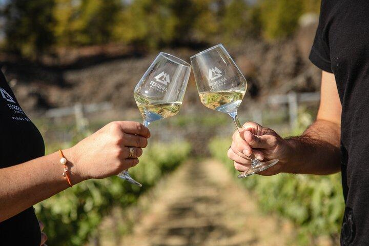 Besuch des Mountain Vineyard in Arafo und Verkostung ökologischer Weine