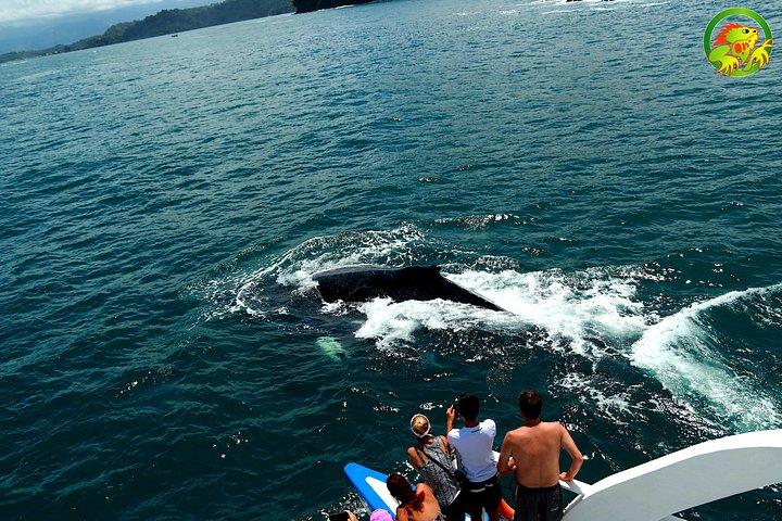 Catamaran Tour Manuel Antonio