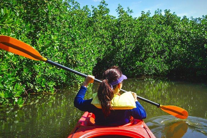Tour tropicale in kayak e avventura sull'isola di Fort Lauderdale
