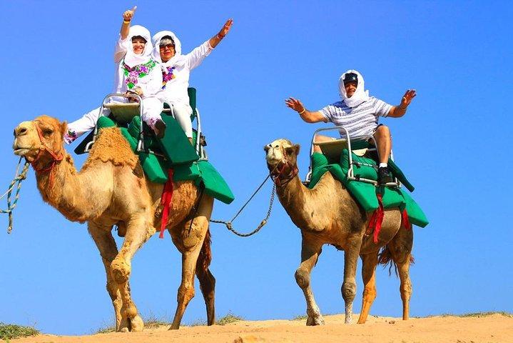 Cabo Camel und Safari Ride