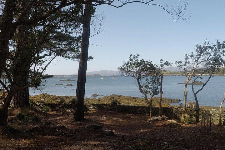 Privat rundtur: Ring of Beara från Kenmare.