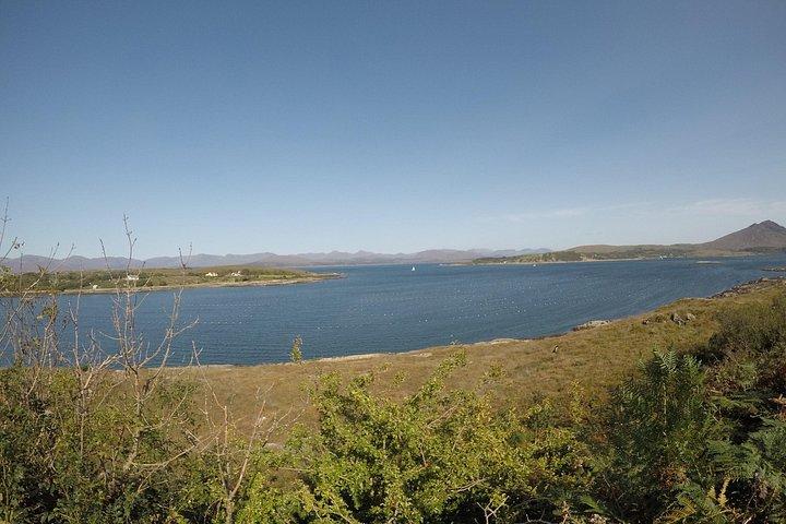 Privat rundtur: Ring of Beara från Kenmare.