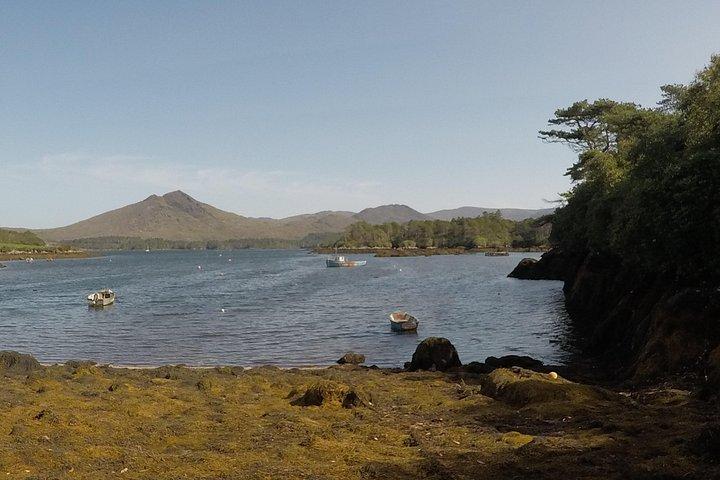 Privat rundtur: Ring of Beara från Kenmare.