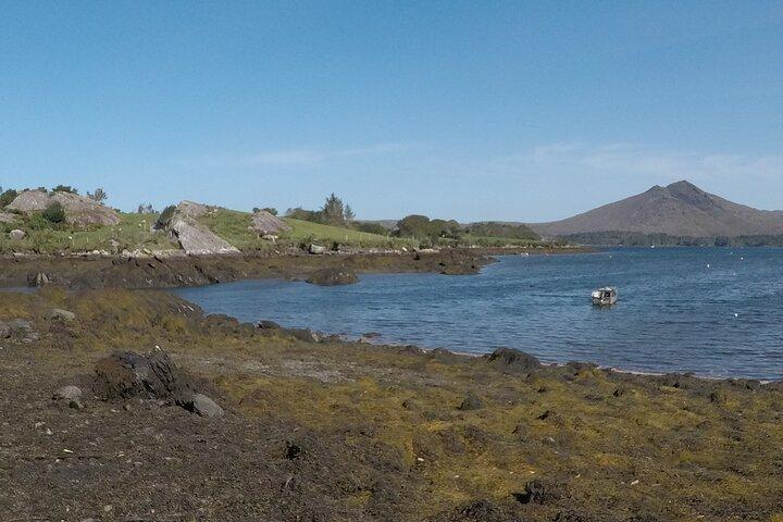 Privat rundtur: Ring of Beara från Kenmare.