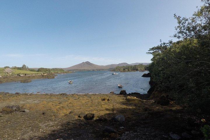 Private Tour: Ring of Beara from Killarney.