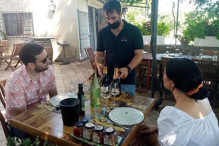 エトナ山とワイナリーのプライベートツアー、タオルミーナからの食事とワインの試飲付き