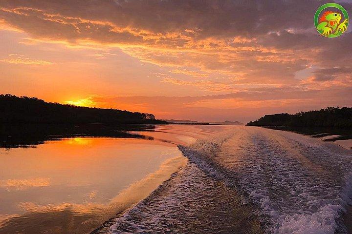 Damas Mangrove Boat Tour