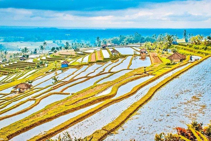 バリ島ホリデーカスタムツアー - 独自の旅程を構築
